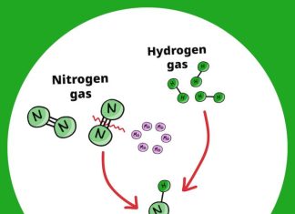 Energy-friendly ammonia production for fertilizers and alternative fuel