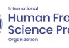 Human Frontier Science Program: Fellowships Awarded to 59 of the Most Pioneering Postdoctoral Scientists from 28 Nations