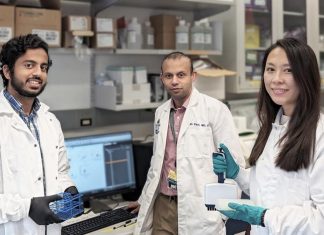 Johns Hopkins investigators develop novel treatment for T-cell leukemias and lymphomas