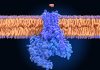 New Theory on Parkinson’s Origins and Spread