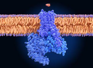 New Theory on Parkinson’s Origins and Spread