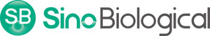 Organoid-Immune Co-Culture Models for Cancer Research