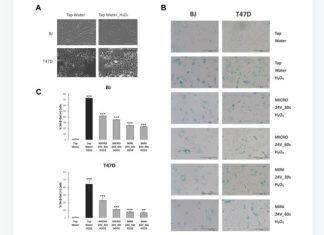 Modulation of senescence features using weo electrolyzed water