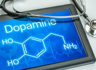 Study demonstrates link between disrupted developmental dopamine signaling and ASD