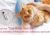 Easy and Fast “Cat Urine Test Kit” for Early Detection of Kidney Disease, Gallstones, and Cystitis
