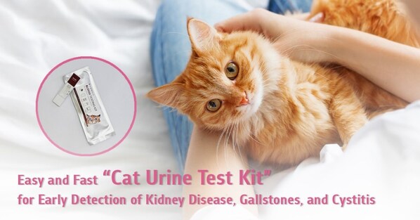 Photo inspiration: Easy And Fast Cat Urine Test Kit For Early Detection Photo Inspiration