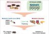 Mouse Metabolic Health Blueprint May Inform Human Studies