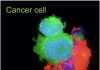 Nano-Immunotherapy Delivers Checkpoint Inhibition And Anticancer Drug to Lung Tumors in Mice