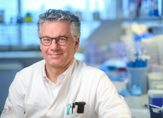 Neoadjuvant Immunotherapy for early stage melanoma shows positive results