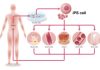 Using iPSCs as Starting Material for Advanced Therapies
