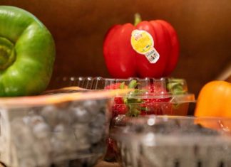Virginia Tech researcher helps reach nutrition security goals