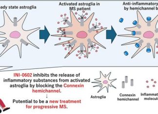A new therapeutic target offers a promising pathway for multiple sclerosis treatment