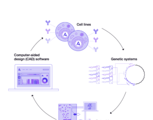 Asimov Introduces AI-driven 4th Generation CHO Edge System