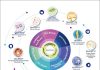 Bloomage Launches MitoPQQ™ and Presents Hyaluronic Acid Research at IFT FIRST Expo 2024