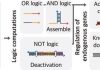 Could smart guide RNAs usher in an era of personalized medicine?