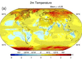 Exploring the radiative effects of precipitation on arctic amplification and energy budget
