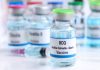 T-Cell Responses as Phenotypic Shifters in BCG Revaccinated Adolescents