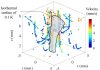 Two-in-one mapping of temperature and flow around microscale convective flows