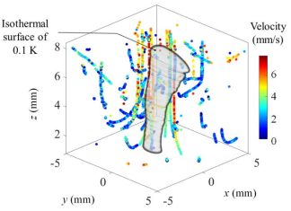Two-in-one mapping of temperature and flow around microscale convective flows
