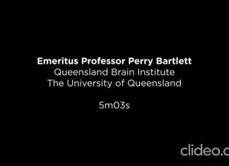UQ research reveals exercise brain boost can last for years