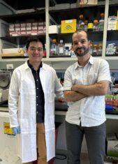 Bacterial Antiviral Mechanism Triggers Growth Arrest through de novo Neo Gene