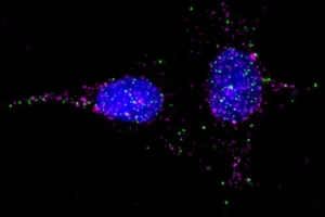 GPCR-RAMP Interactome Maps Could Help Drug Developers Find Buried Treasures