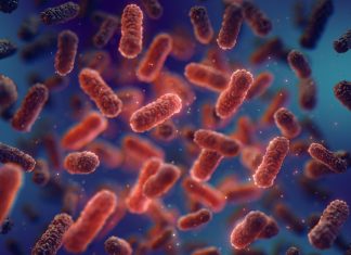 Human gut microbiome: A source of new antibiotic peptides