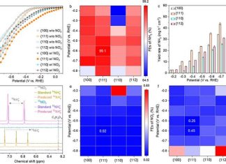 Insights into spinel cobalt oxides may lead to efficient ammonia synthesis