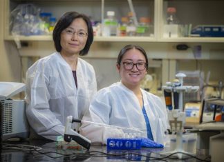 MCG scientists working to understand why men with prostate cancer are at higher risk of Alzheimer’s