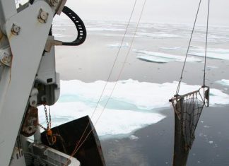 Promising antibiotic candidates discovered in microbes deep in the Arctic Sea