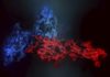 Protein Production Pattern Can Predict Melanoma Therapy Severe Side Effects
