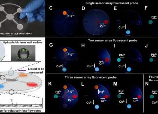 Revolutionary microfluidic sensors enable real-time detection of multiple heavy metals in water