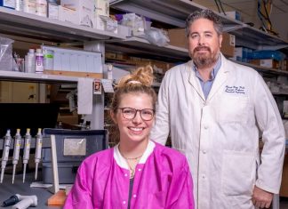 Rice bioengineers develop lotus leaf-inspired system to advance study of cancer cell clusters