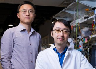 Rice-built reactor yields green ammonia and purified water