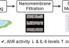 Sizing up microplastics: Nanofiltration uncovers environmental bioactivity