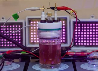 Turning bacteria into bioplastic factories