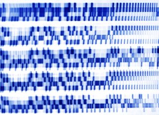 Heightened Genetic Disease Risk Linked to Remote Regions in the U.K.