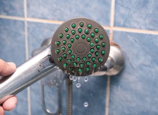 Your bathroom is a hidden haven of untapped viral biodiversity