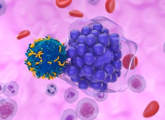 CAR T cell therapy breakthroughs bring new hope for treating solid tumors