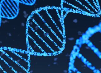 Engineered virus-like particles evolve for superior gene delivery efficiency