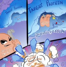 Molecular Crowbar Strategy Pulls Apart Protein’s Hold on Pancreatic Cancer Development