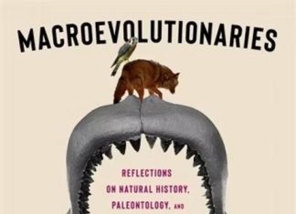 New book ‘Macroevolutionaries’ explores intersection of evolution, art and popular culture