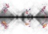 Repair Proteins Collaborate in “Hubs” to Repair DNA Damage