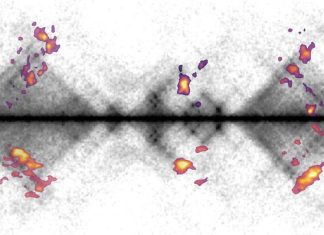 Repair Proteins Collaborate in “Hubs” to Repair DNA Damage