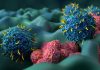 Breakthrough in antigen recognition: TRACeR-I enhances immune targeting