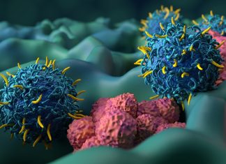 Breakthrough in antigen recognition: TRACeR-I enhances immune targeting