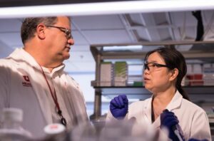 Gene Therapy Reverses Effects of Heart Failure and Restores Heart Function in Minipigs