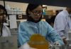 Young International Scientists Say: China-Myanmar Partnership Advances Agricultural Innovation
