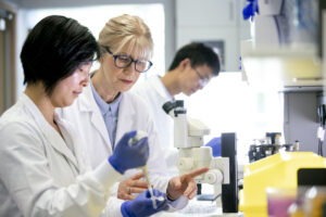 Epigenetic Clocks Show Biological Age at Cell-Type Resolution