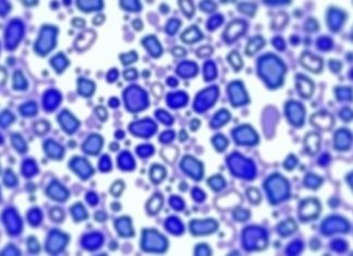 Mayo Clinic Introduces Digital Pathology Initiative to Revolutionize the Field and Accelerate Medical Advancements